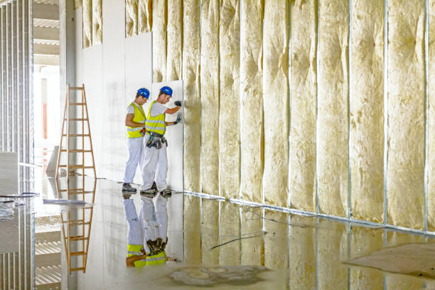 Types of Insulation We Offer in Wilmington, NC